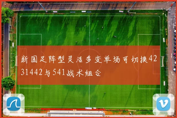 新国足阵型灵活多变单场可切换4231442与541战术组合